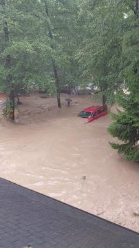 prizori iz kampa 